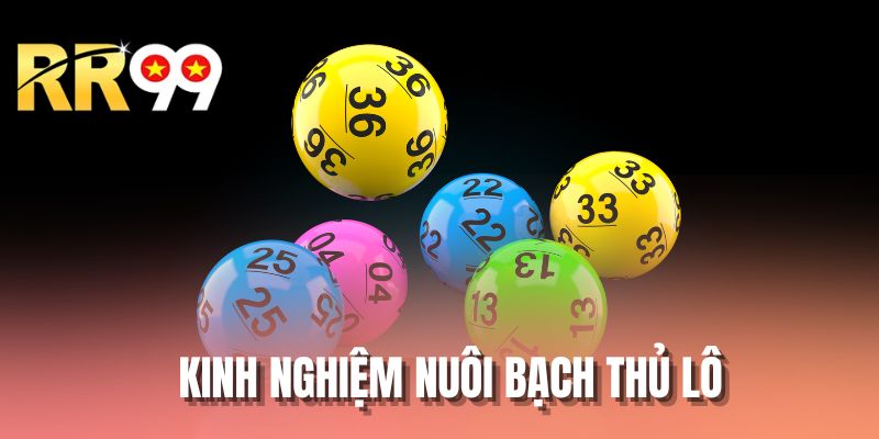 Kinh Nghiệm Nuôi Bạch Thủ Lô - Hình Thức Cá Cược Đỉnh Cao