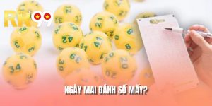 Ngày Mai Đánh Số Mấy? Soi Cầu Vận Mệnh Đầy Huyền Cơ